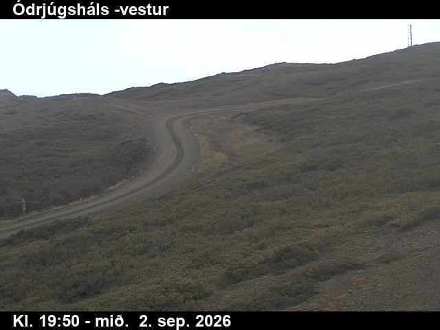 odrjugshals_4-1788386533.jpg