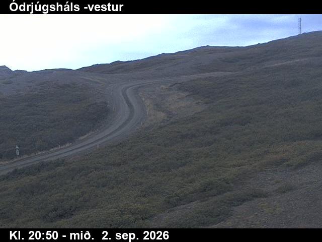 odrjugshals_4-1788390072.jpg