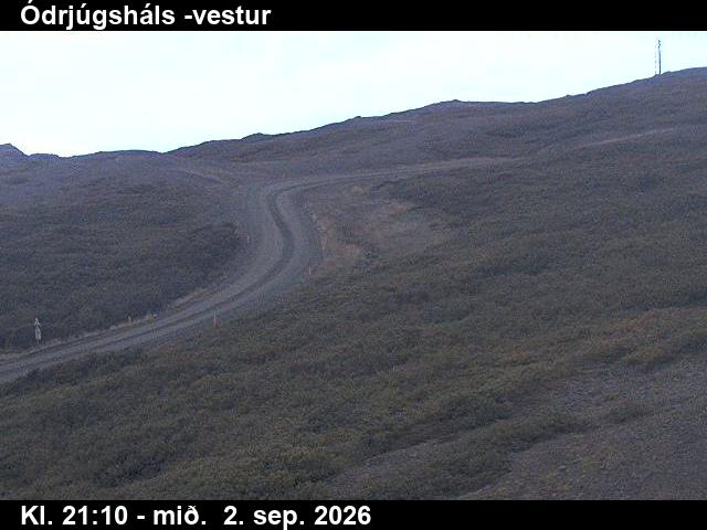 odrjugshals_4-1788391574.jpg