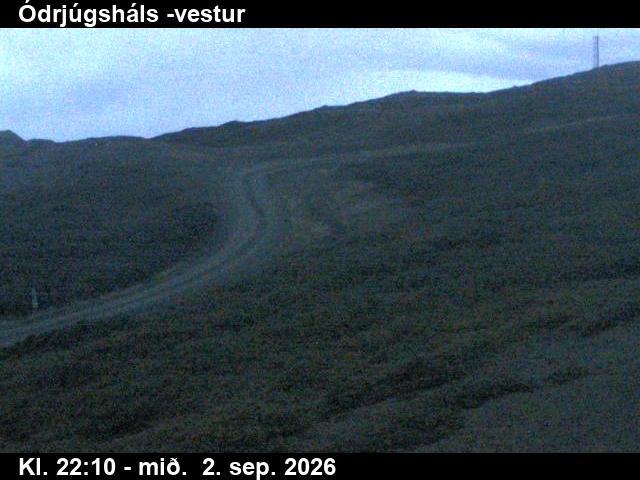 odrjugshals_4-1788395155.jpg