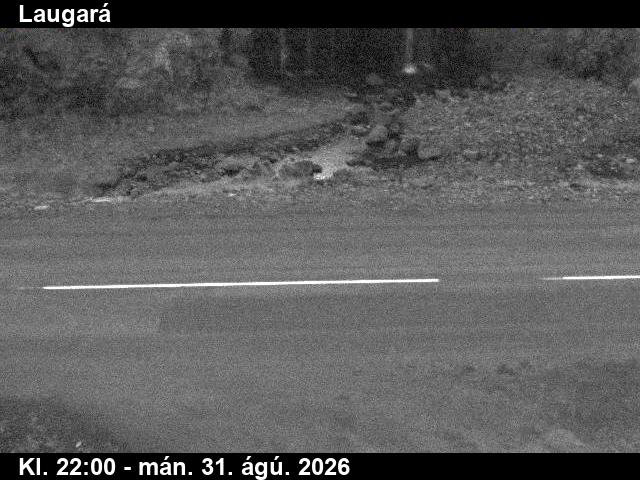 laugara_3-1788220869.jpg