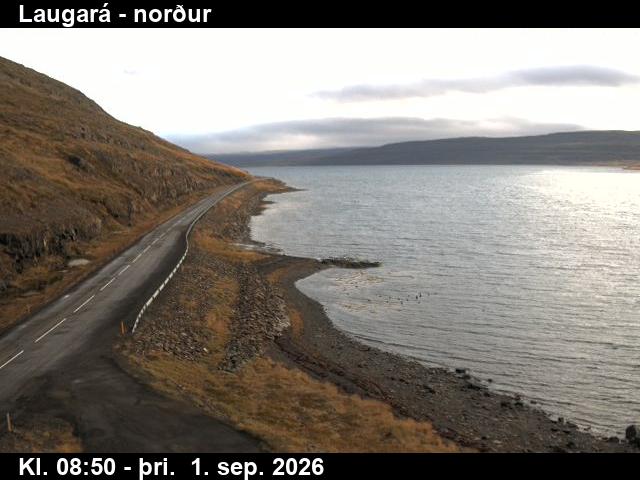 laugara_4-1788260491.jpg
