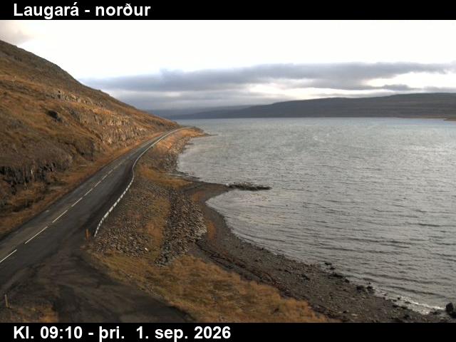 laugara_4-1788261934.jpg