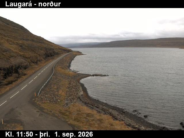 laugara_4-1788271277.jpg