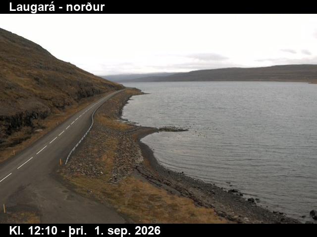 laugara_4-1788272749.jpg