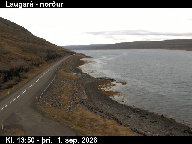 laugara_4-1788278761.jpg