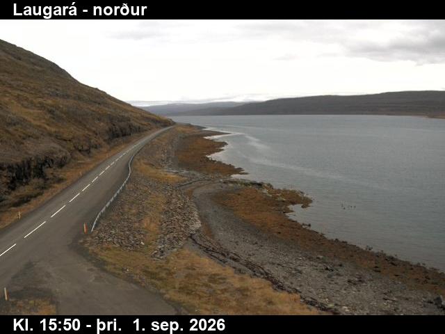 laugara_4-1788285938.jpg