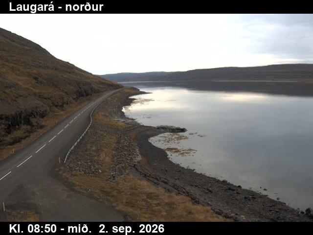laugara_4-1788346868.jpg