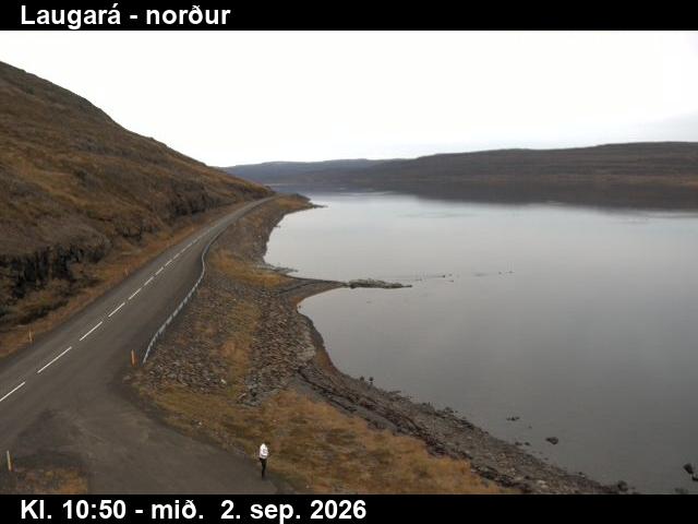 laugara_4-1788354163.jpg