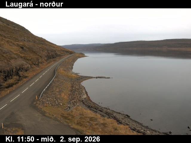 laugara_4-1788357707.jpg