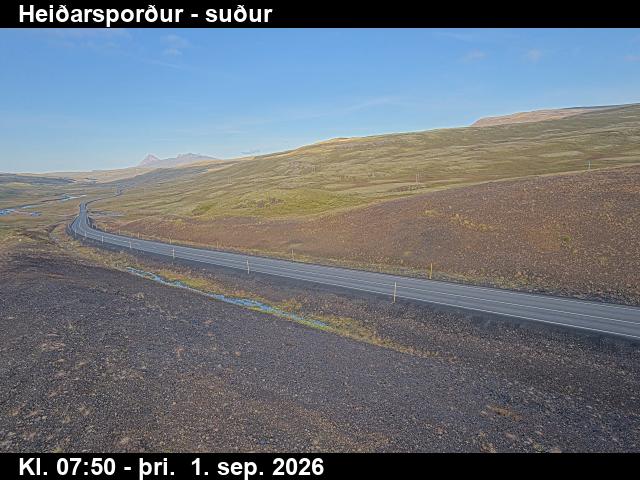 heidarspordur_1-1788256897.jpg