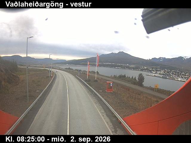 vadlaheidargong_1-1788344789.jpg