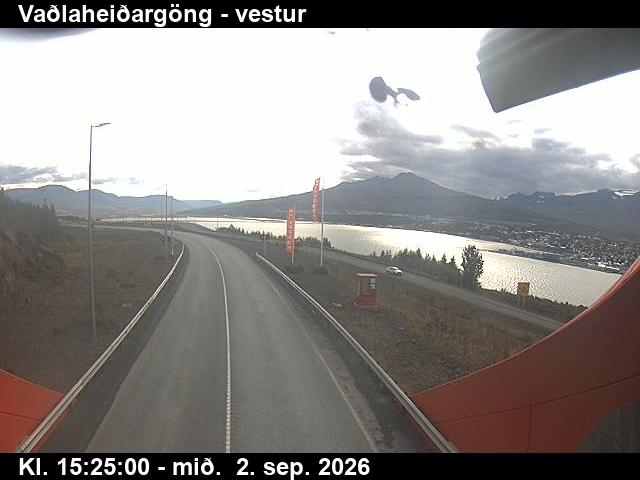 vadlaheidargong_1-1788369945.jpg