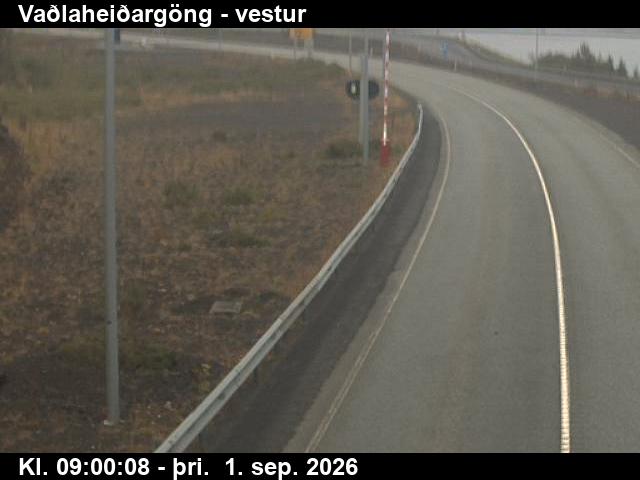 vadlaheidargong_2-1788260489.jpg