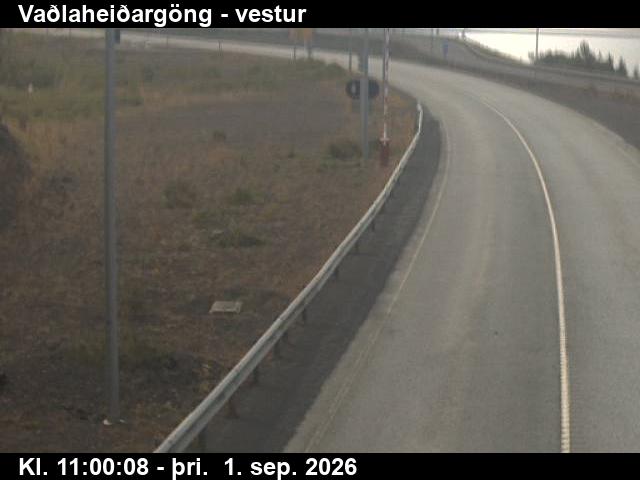 vadlaheidargong_2-1788267664.jpg