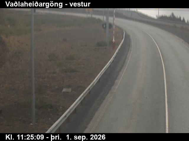 vadlaheidargong_2-1788269149.jpg