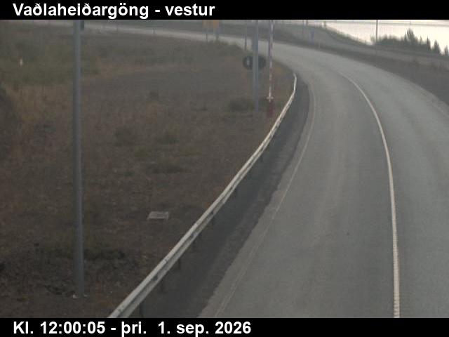 vadlaheidargong_2-1788271277.jpg