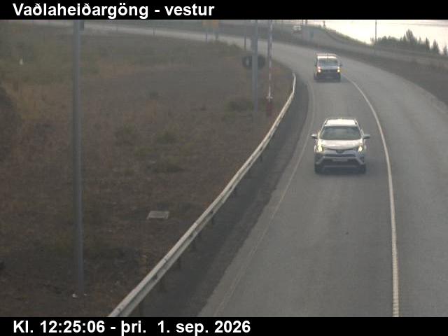 vadlaheidargong_2-1788272748.jpg