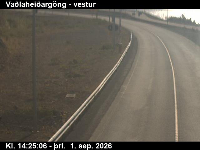 vadlaheidargong_2-1788279954.jpg