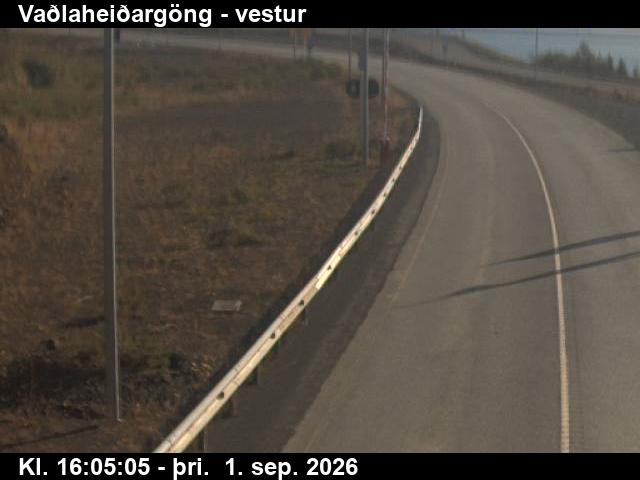 vadlaheidargong_2-1788285937.jpg
