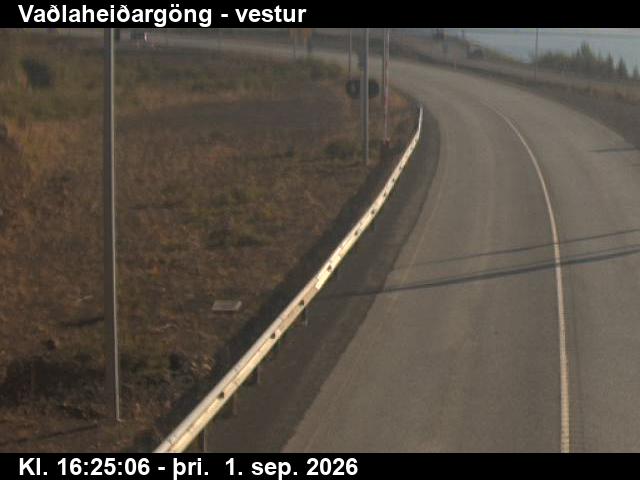 vadlaheidargong_2-1788287136.jpg