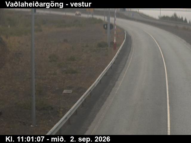 vadlaheidargong_2-1788354126.jpg