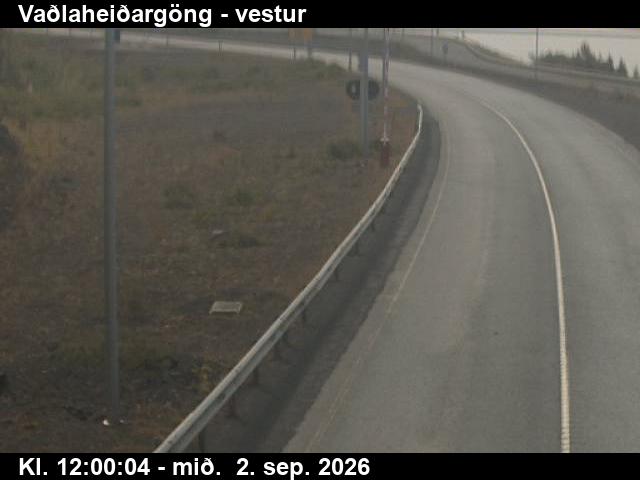 vadlaheidargong_2-1788357660.jpg