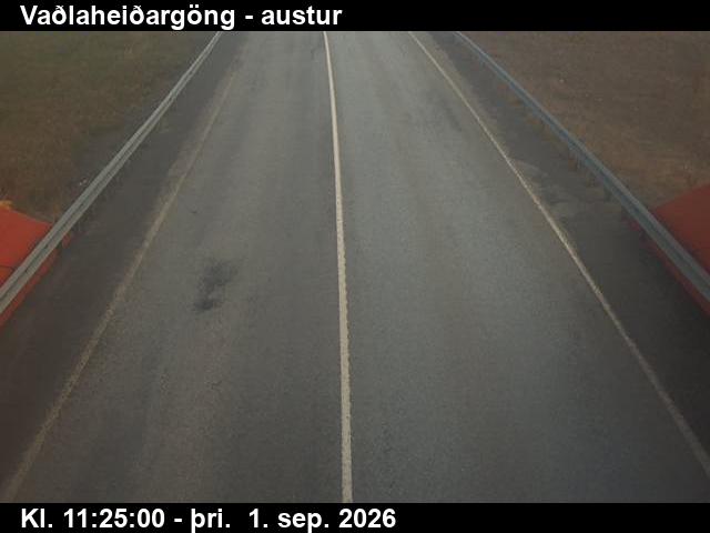 vadlaheidargong_4-1788269149.jpg
