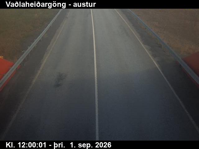 vadlaheidargong_4-1788271229.jpg