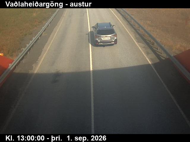 vadlaheidargong_4-1788274837.jpg
