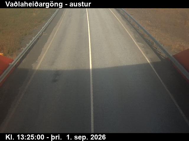 vadlaheidargong_4-1788276344.jpg