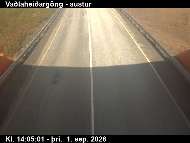 vadlaheidargong_4-1788278738.jpg