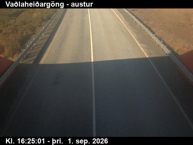 vadlaheidargong_4-1788287170.jpg