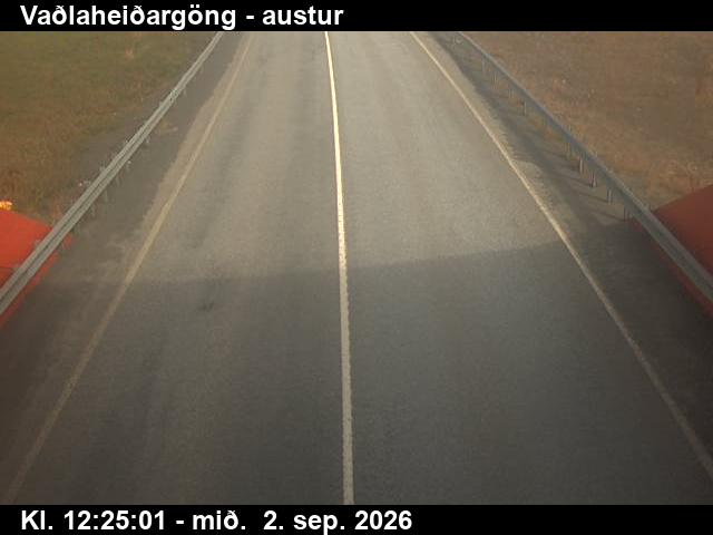 vadlaheidargong_4-1788359138.jpg