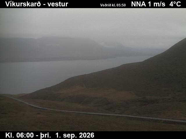 vikurskard_1-1788249720.jpg