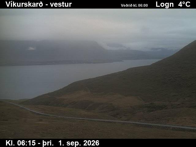 vikurskard_1-1788251143.jpg