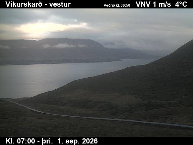 vikurskard_1-1788253257.jpg
