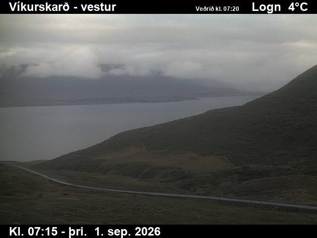 vikurskard_1-1788254787.jpg