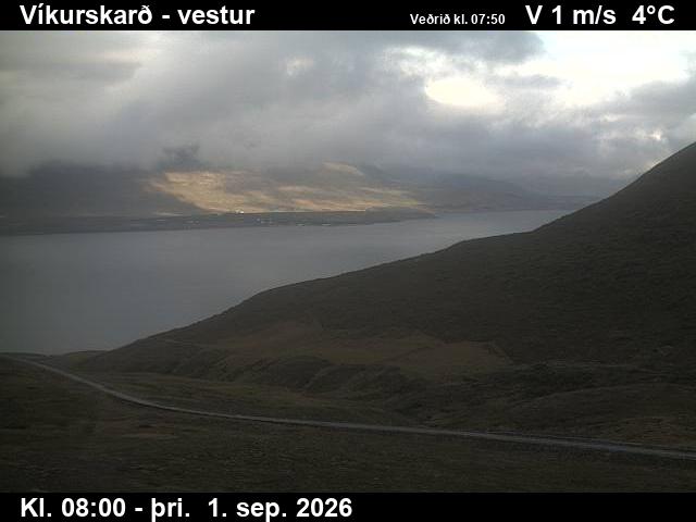 vikurskard_1-1788256883.jpg