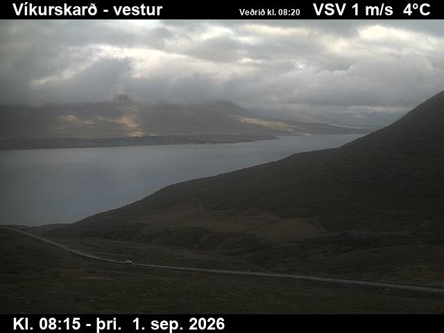 vikurskard_1-1788258486.jpg