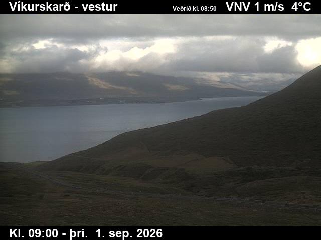 vikurskard_1-1788260488.jpg