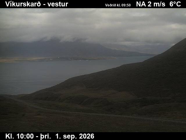 vikurskard_1-1788264092.jpg