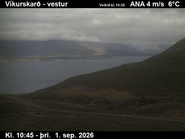vikurskard_1-1788267663.jpg