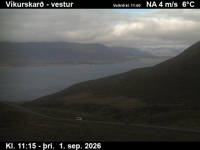 vikurskard_1-1788269126.jpg