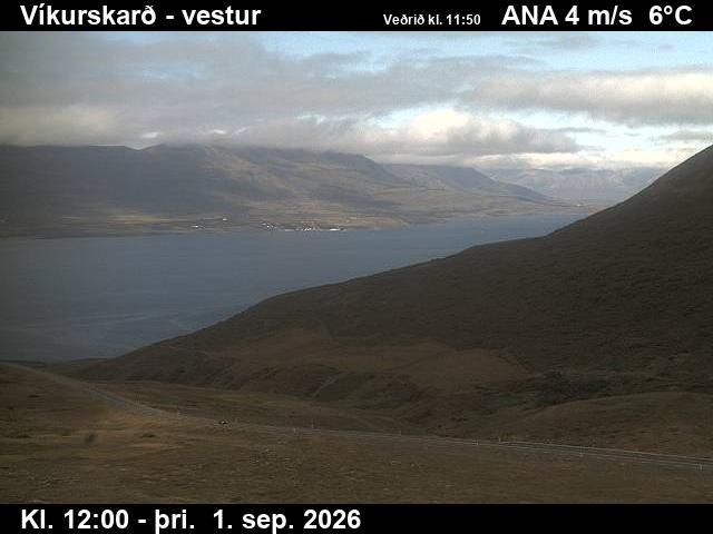 vikurskard_1-1788271237.jpg
