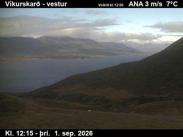vikurskard_1-1788272748.jpg
