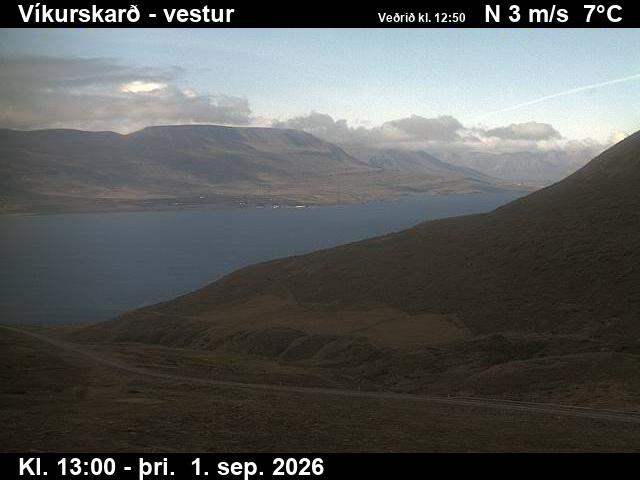 vikurskard_1-1788274836.jpg
