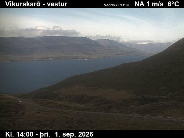 vikurskard_1-1788278759.jpg