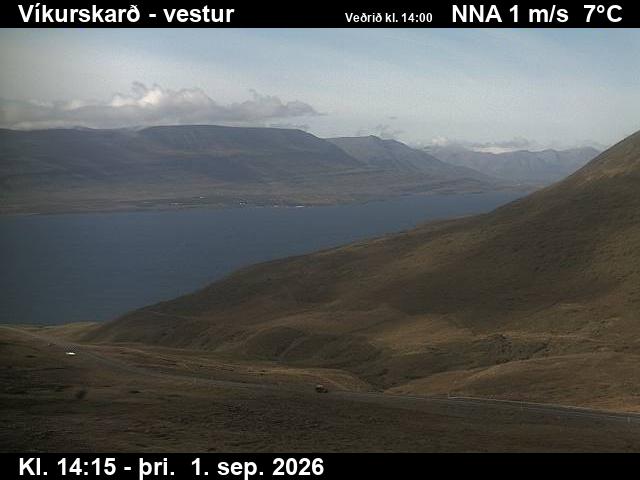 vikurskard_1-1788279954.jpg