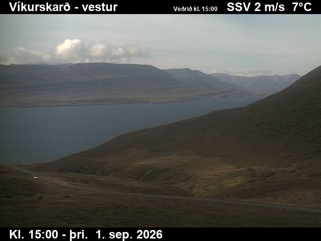 vikurskard_1-1788282381.jpg